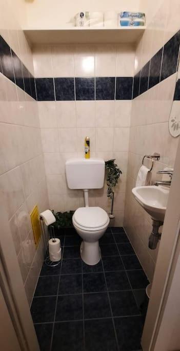 Einzigartiges Apartment Inkl. Gratis Parkplatz Viyana Dış mekan fotoğraf